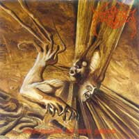 Torturer - Oppressed by the Force: Death Metal 1992 Torturer