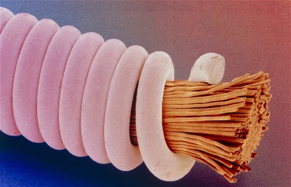 guitar_string_magnified