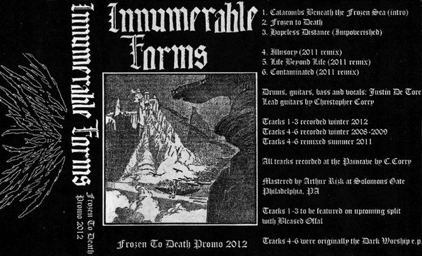 innumerable forms full