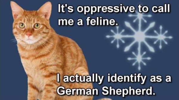 its_oppressive_to_call_me_a_feline