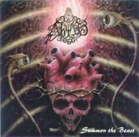 Abyss, The - Summon the Beast: Black Metal 1997 Abyss, The