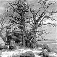 Graveland - The Celtic Winter: Black Metal 1996 Graveland