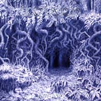 Ildjarn - Forest Poetry re-release: Black Metal 2004 Ildjarn