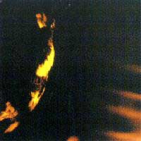 Skepticism - Stormcrowfleet: Doom Metal 1995 Skepticism