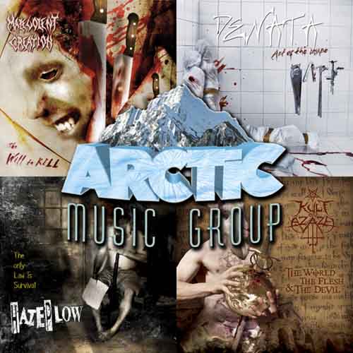 arctic_music_collage