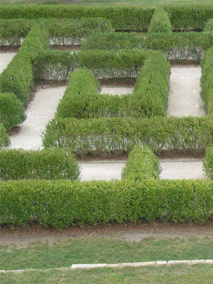 hedge-labyrinth