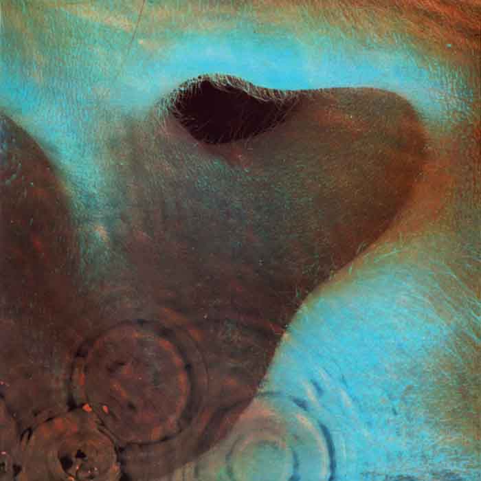 pink floyd meddle