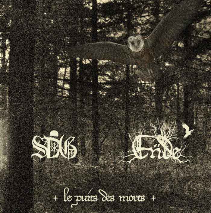 sorcier des glace and monarque - Le puits des morts