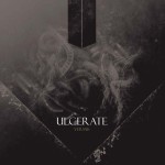 ulcerate-vermis