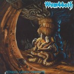 wombbath-internal_caustic_torments